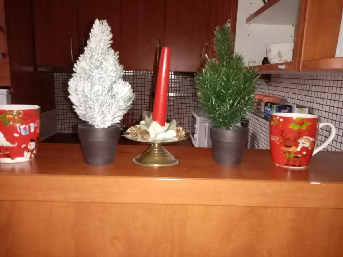 Apartment Sonja Beograd Ngoại thất bức ảnh
